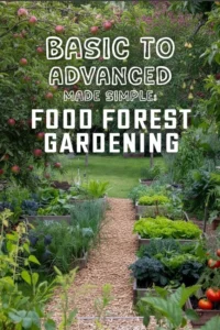 FOOD FOREST GARDENING