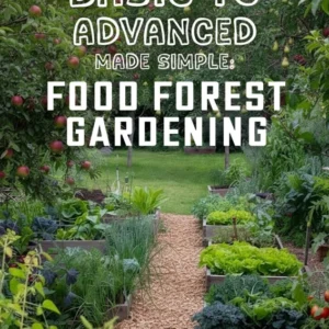 FOOD FOREST GARDENING
